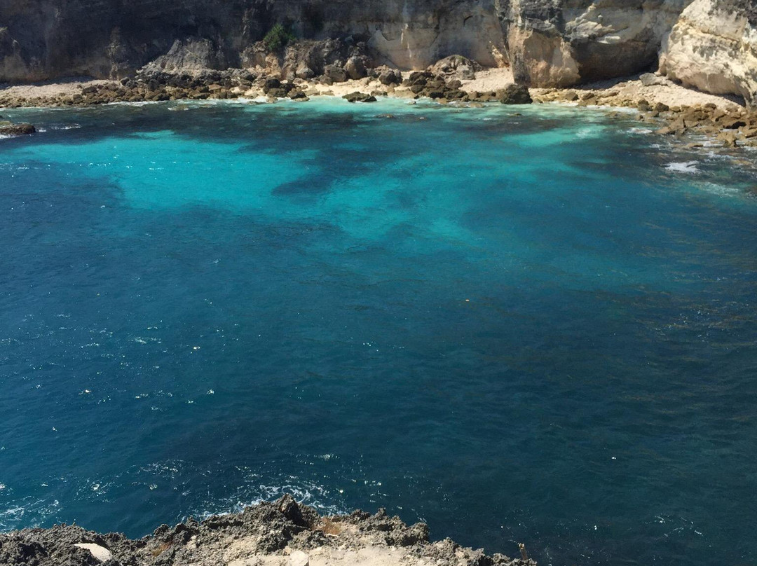 Blue Lagoon Cliff Jump景点图片