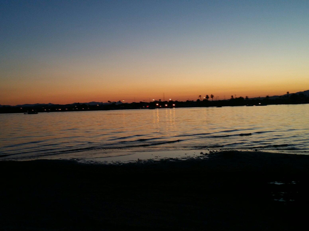 Rotary Community Park-哈瓦苏湖城必去景点