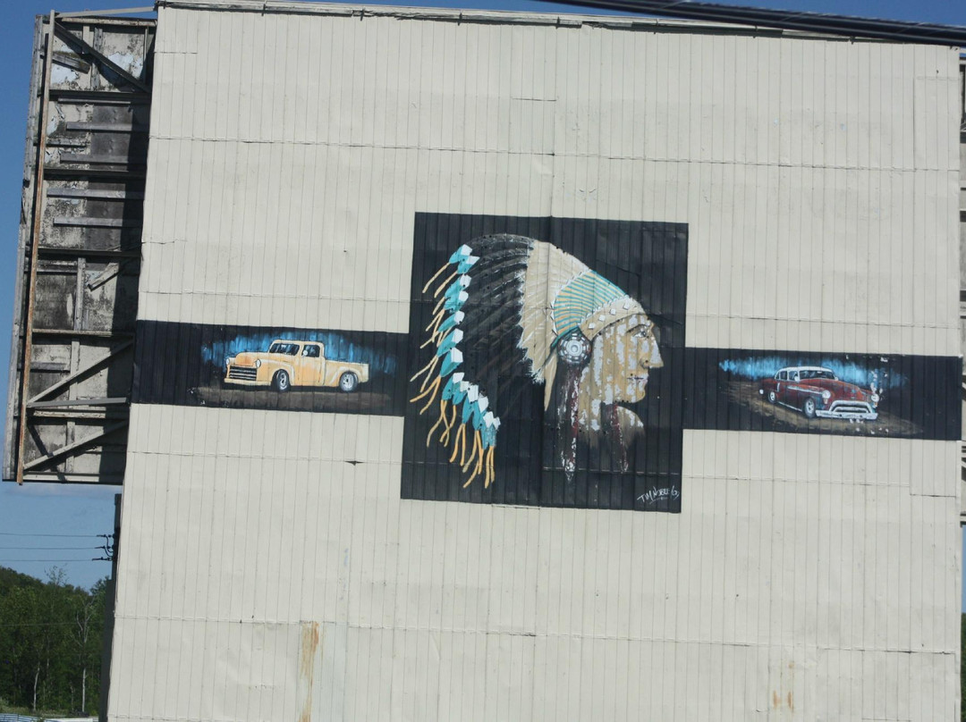 Owen Sound Drive In Theatre景点图片