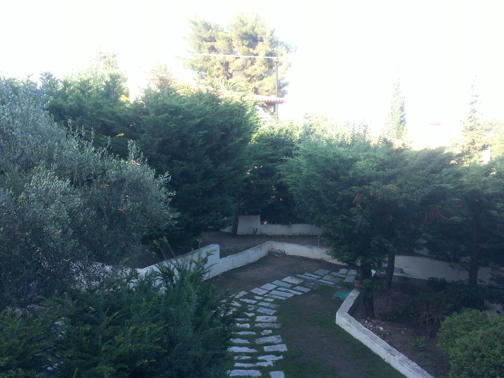 Giga Mar-酒店景观