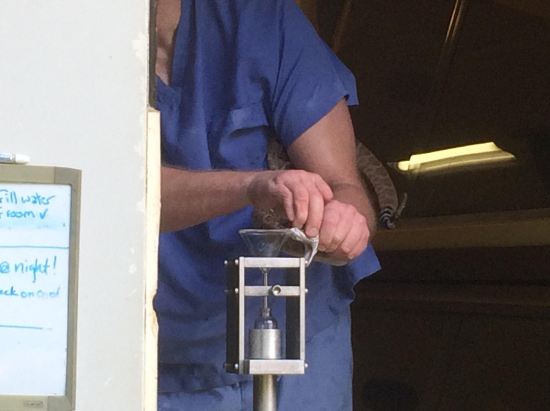 Kentucky Reptile Zoo-Slade必去景点