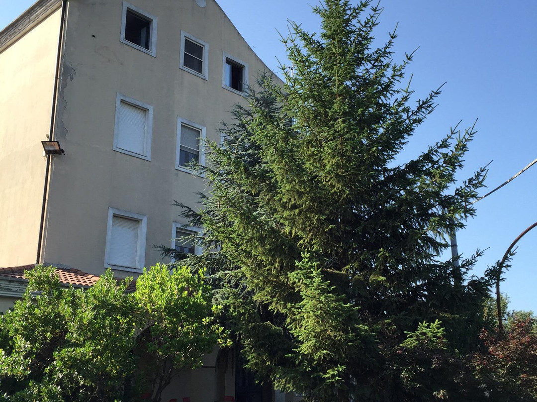 Hotel Ristorante La Strega主图