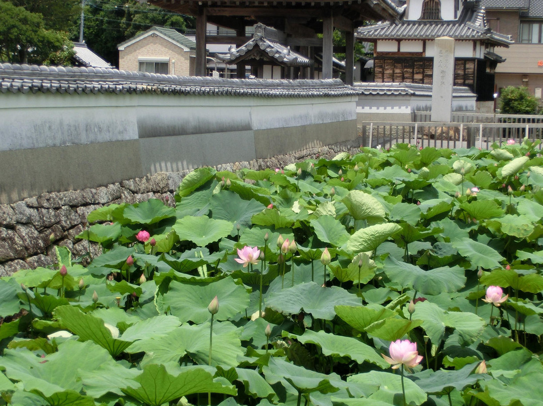 Honshoji Temple-安城市必去景点