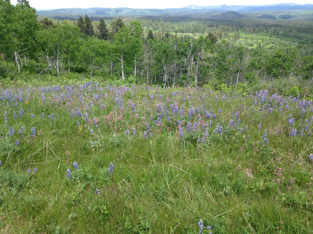 Cement Ridge Lookout-Sundance必去景点