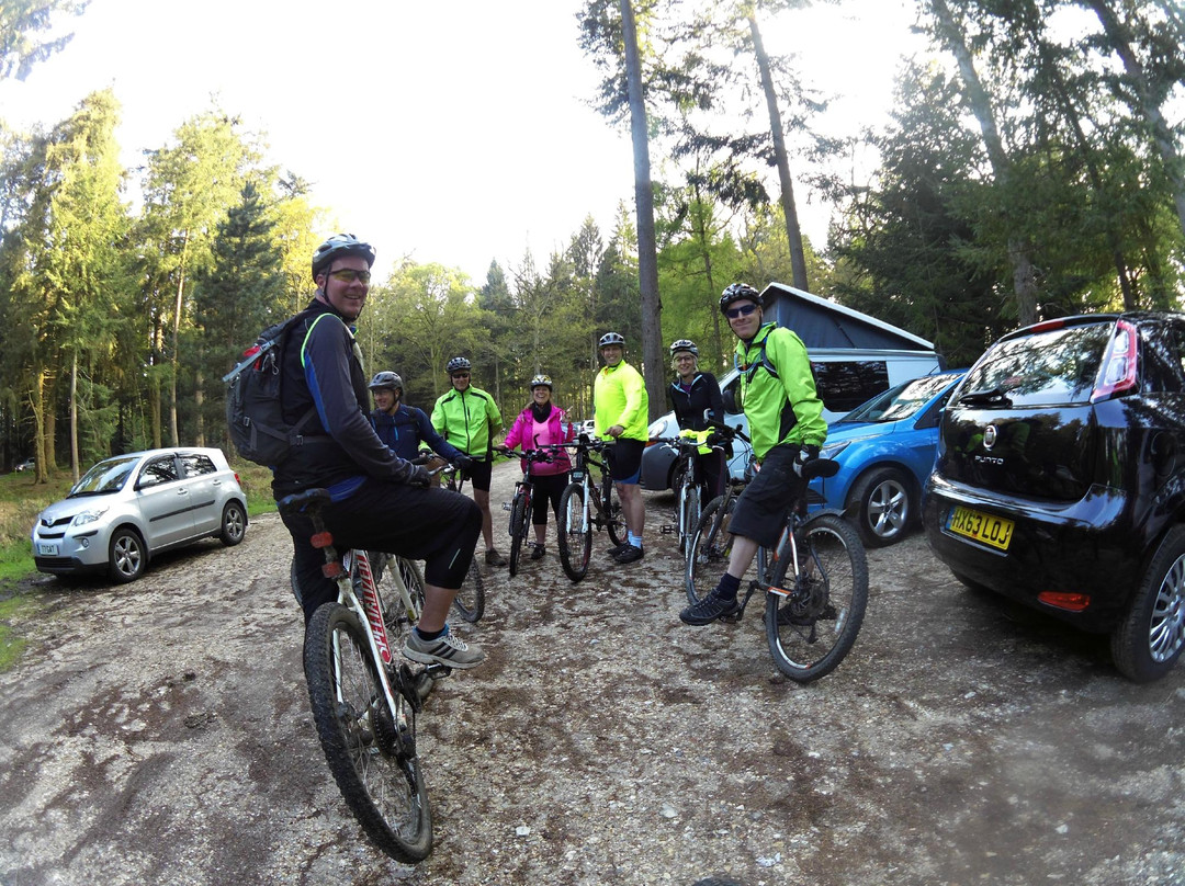 New Forest Cycling Guide景点图片