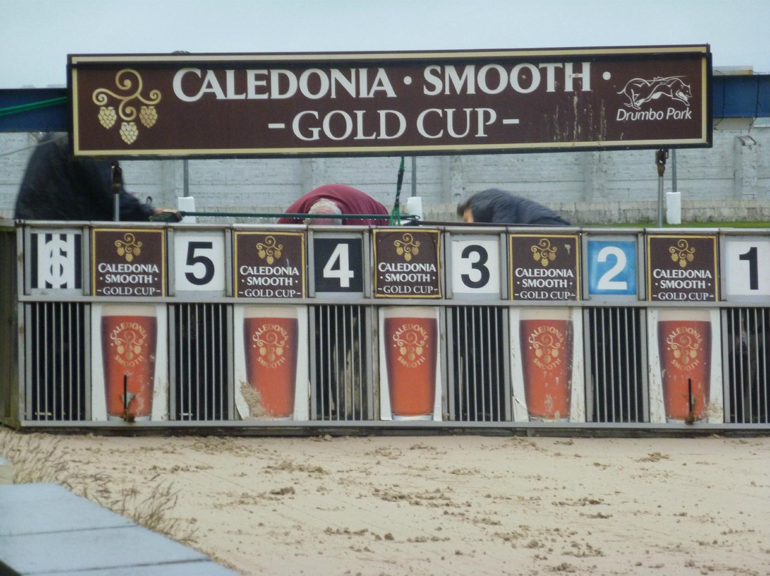 Drumbo Park Greyhound Stadium-利斯本必去景点