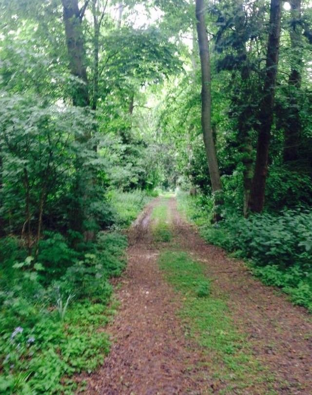 Home Farm Glamping