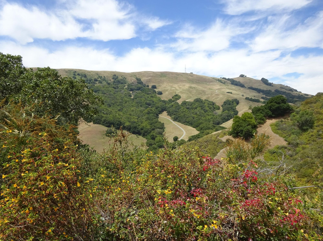 Las Trampas Regional Wilderness-圣拉蒙必去景点