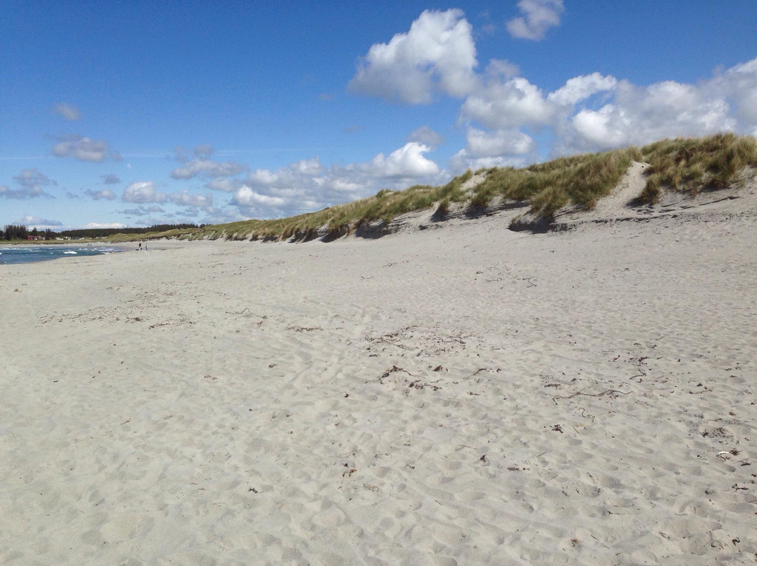 Refsnes Beach景点图片