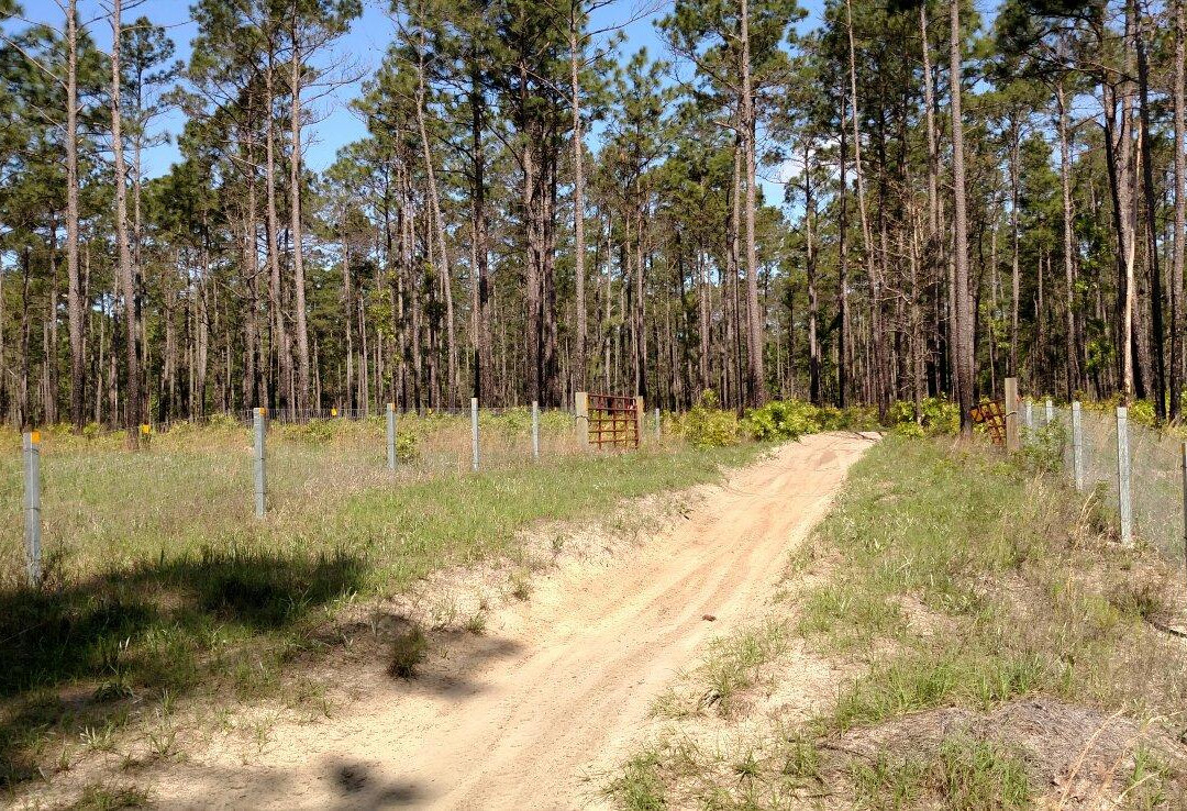 Wambaw Cycle Trail (North Loop)-Huger必去景点