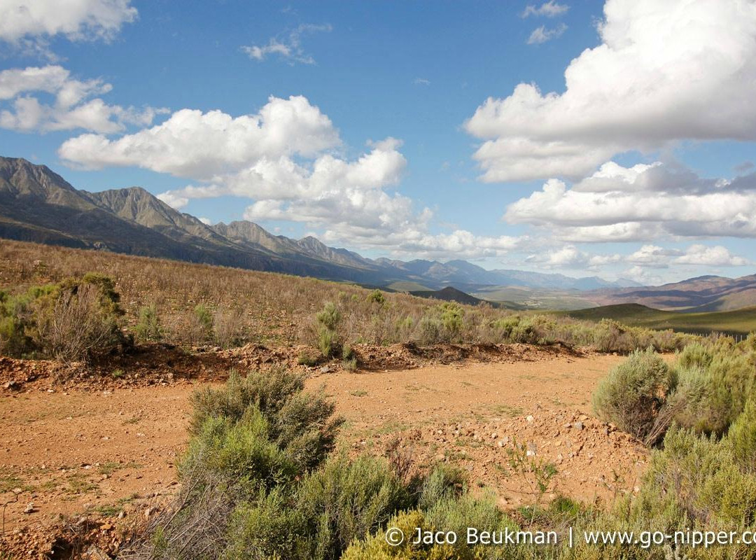 Roger Young Gallery-Calitzdorp必去景点