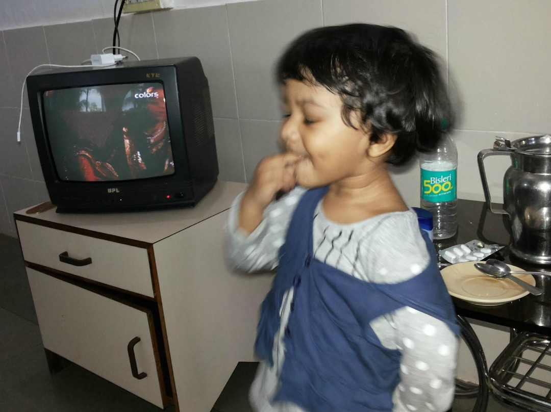 Hotel Parvati Palace主图