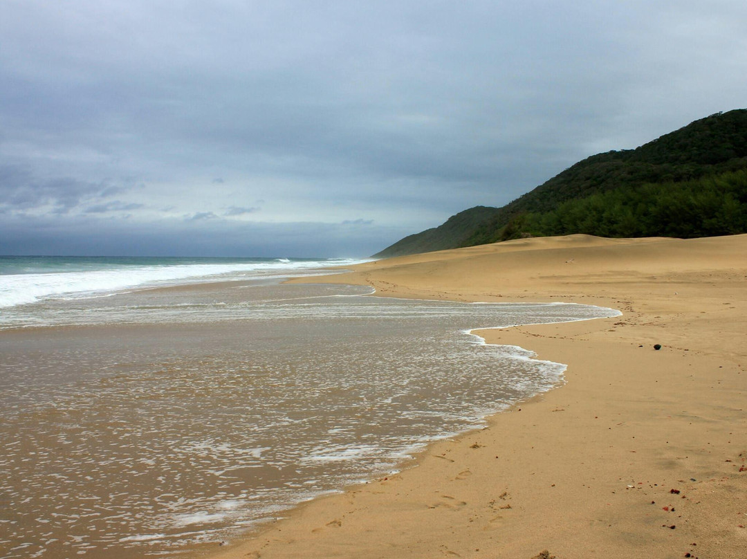 伊西曼格利索湿地公园-圣露西亚必去景点