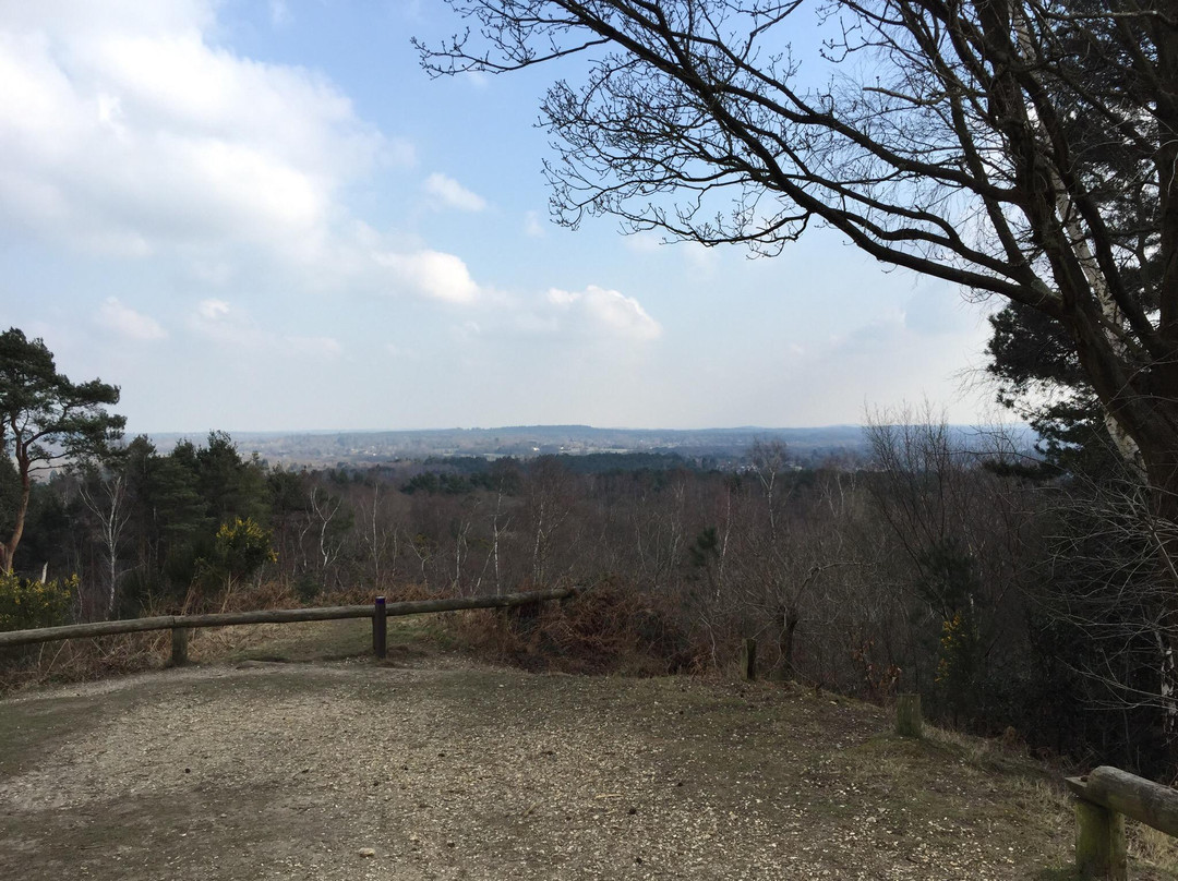 Lightwater Country Park景点图片