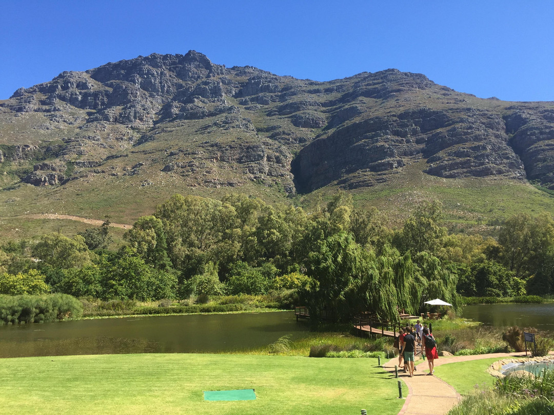 Stark-Condé Wines-斯泰伦博斯必去景点