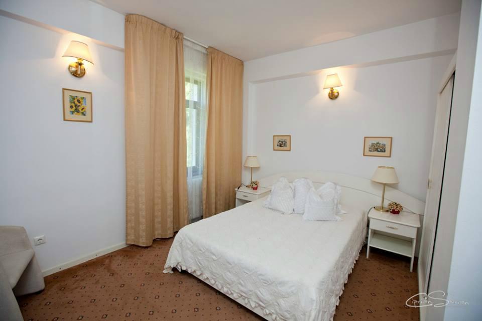 Hotel McPietroasa-客卧