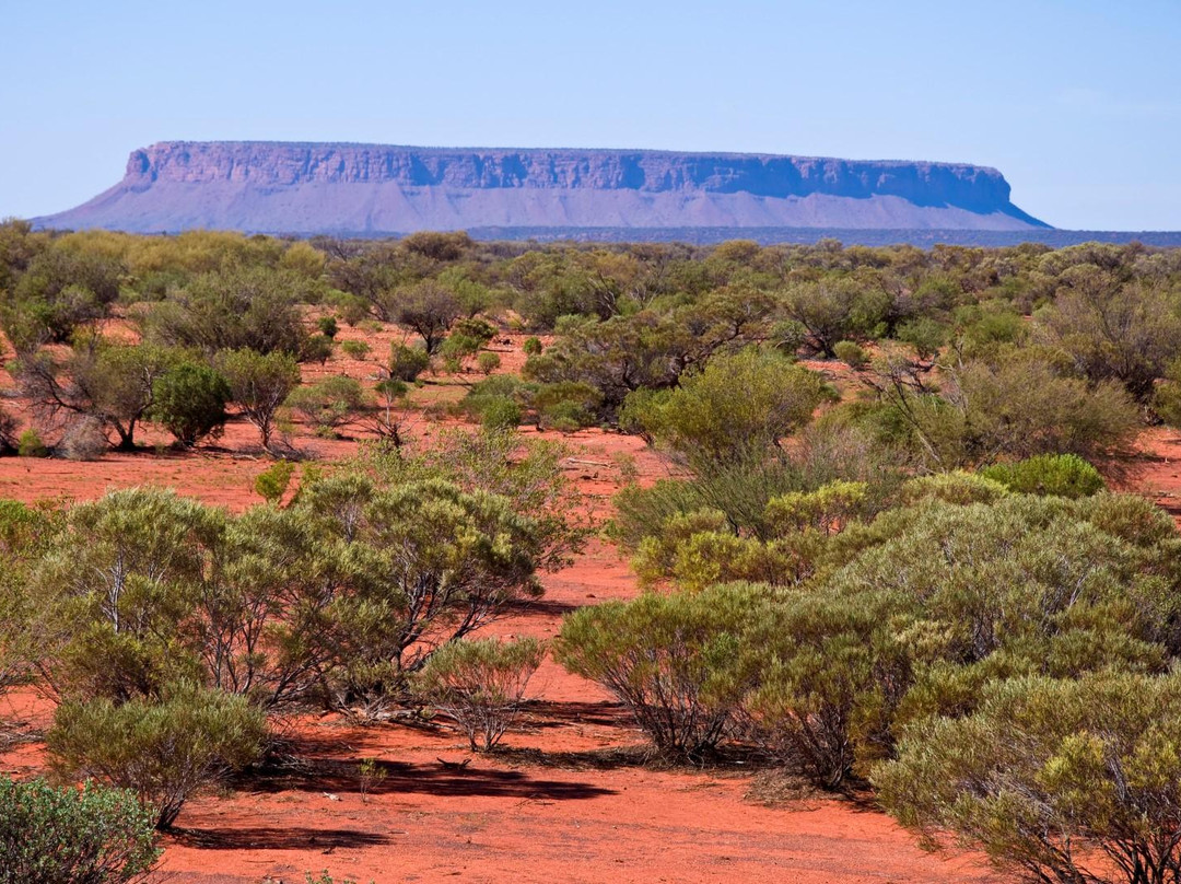 Mount Conner-West MacDonnell National Park必去景点