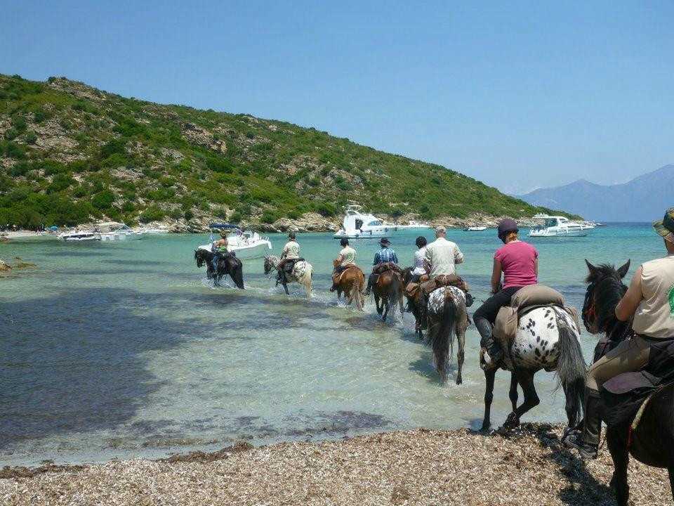 Ranch u Niolu a Cavallu景点图片