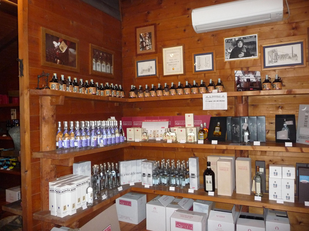 Distilleria Aquileia景点图片