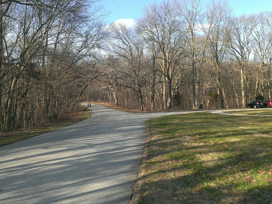 Dr. Edmund A. Babler Memorial State Park景点图片
