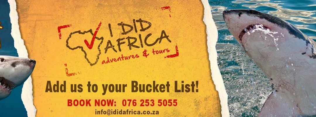 I Did Africa - Shark Cage Diving-干斯拜必去景点