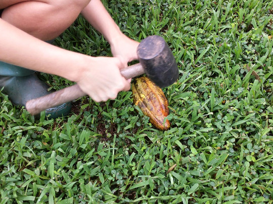 Maui Chocolate Tour-库拉必去景点