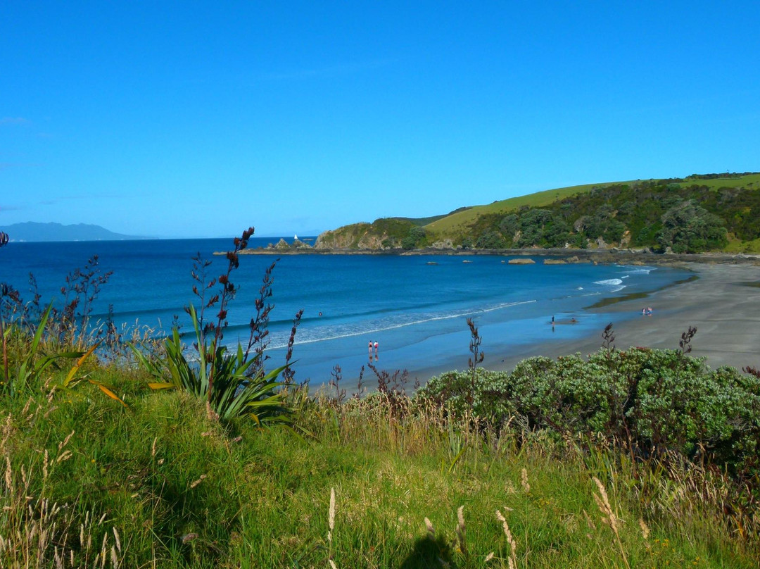 Saltwater Eco-马塔卡纳小镇必去景点