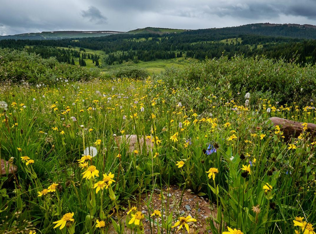 Shrine Pass Road-韦尔必去景点