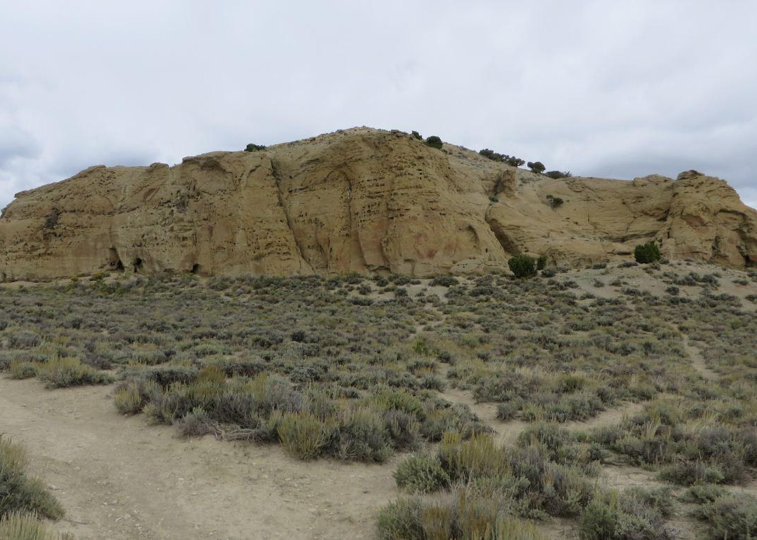 White Mountain Petroglyphs-Rock Springs必去景点