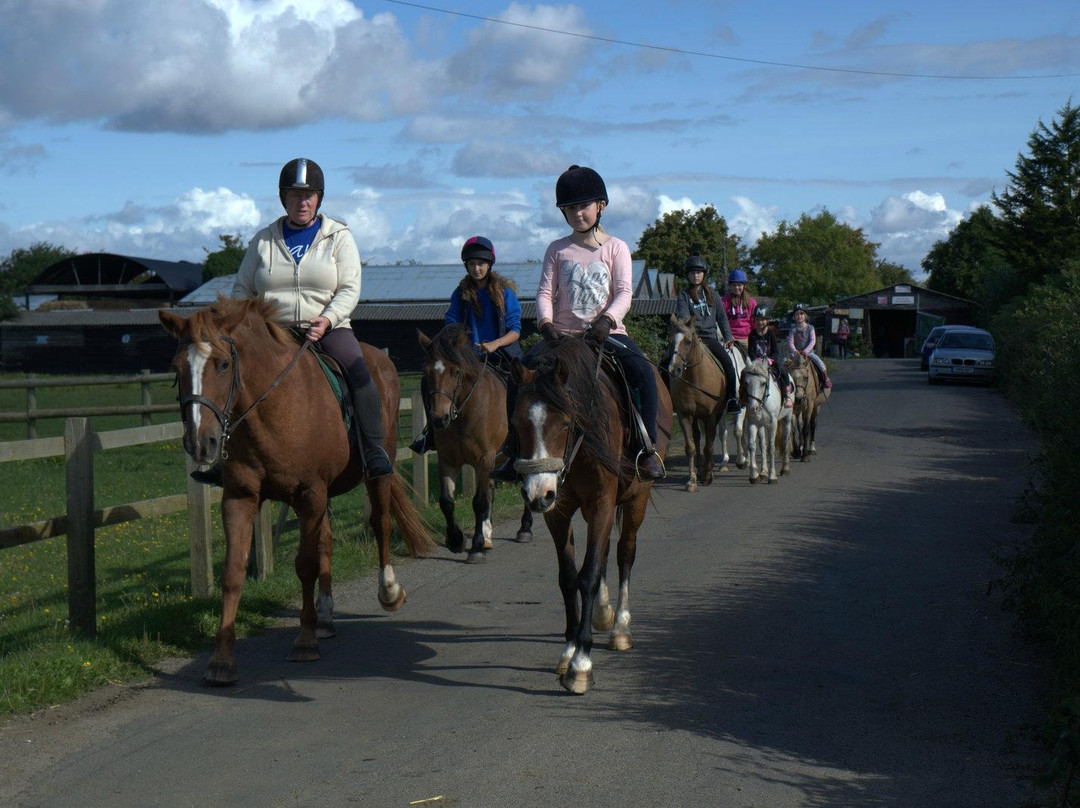Moyfield Riding School景点图片