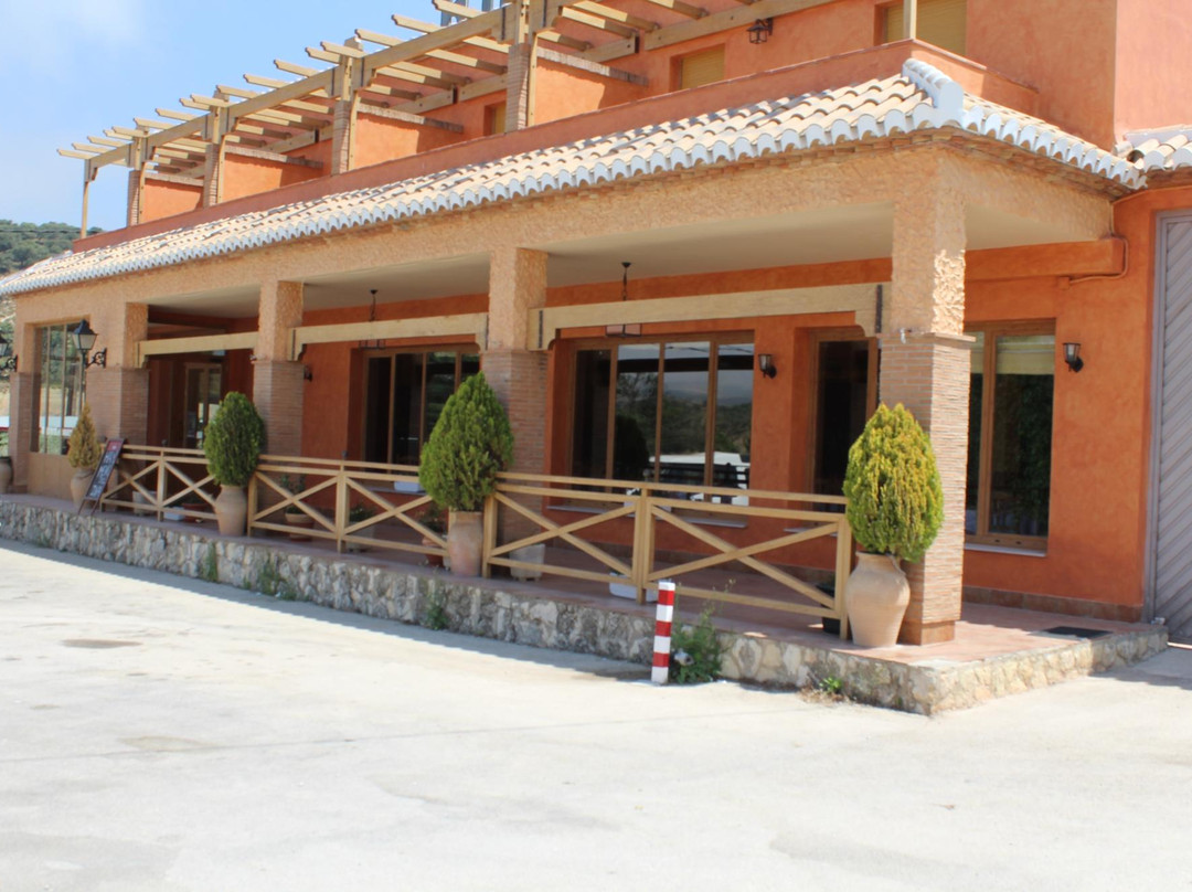 Alhama de Granada酒店住宿-Hotel Restaurante Los Caños de la Alcaicería