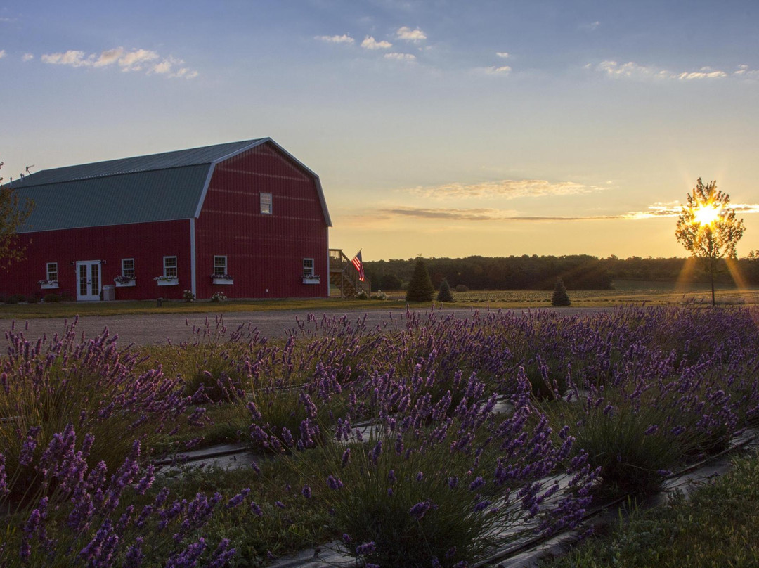 Fragrant Isle Lavender Farm & Shop-Washington Island必去景点