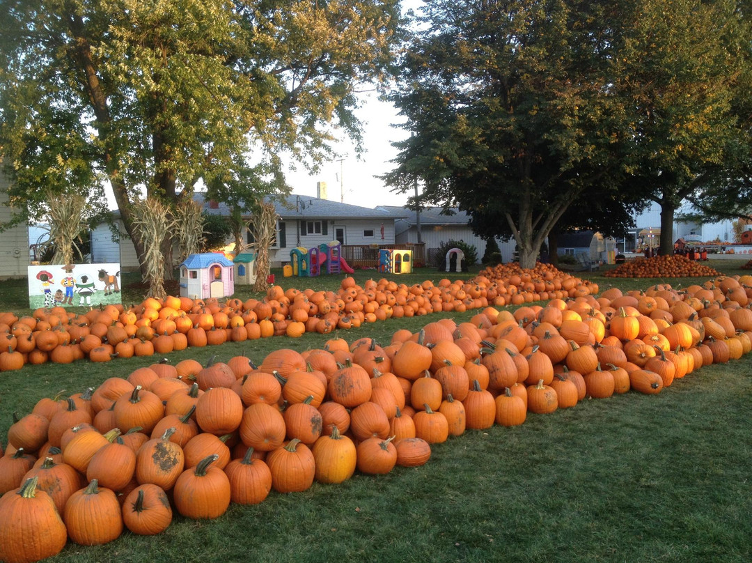 Selmi's Greenhouse and Family Farm-Rock Falls必去景点