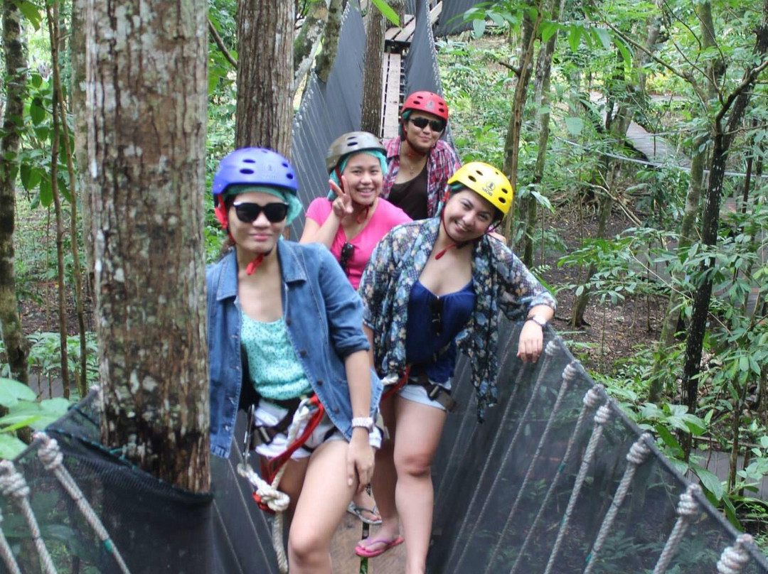 Chocolate Hills Adventure Park景点图片