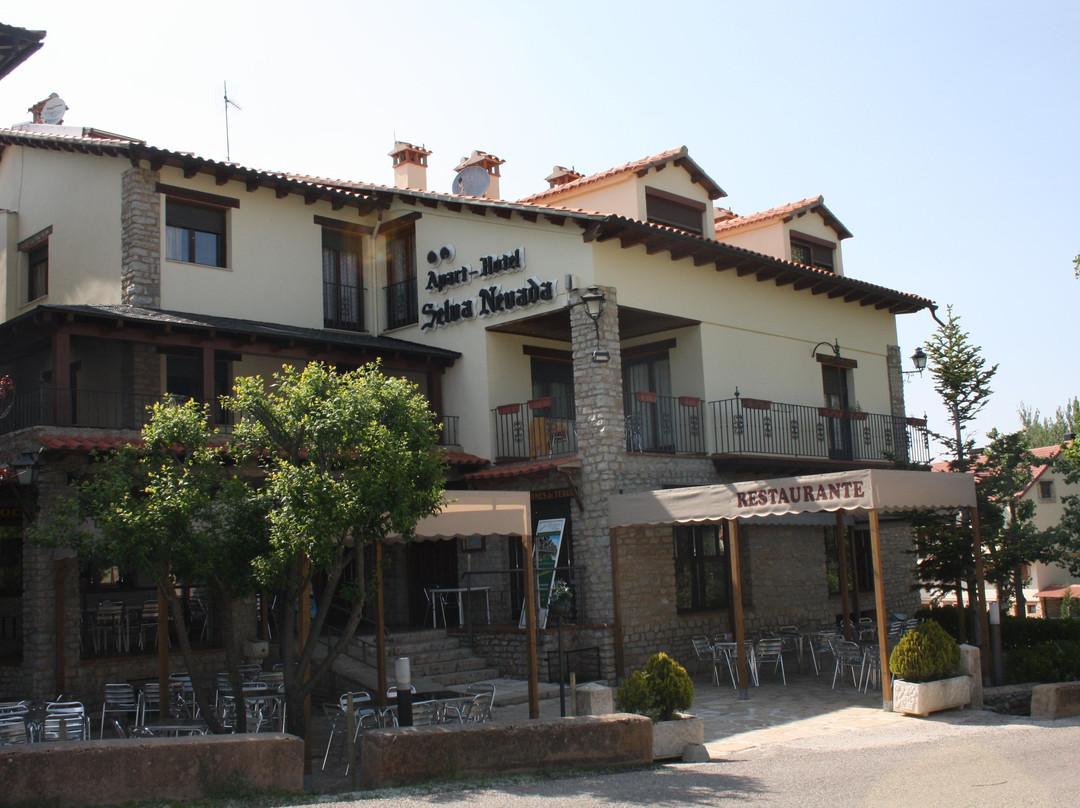 Apart-Hotel Selva Nevada