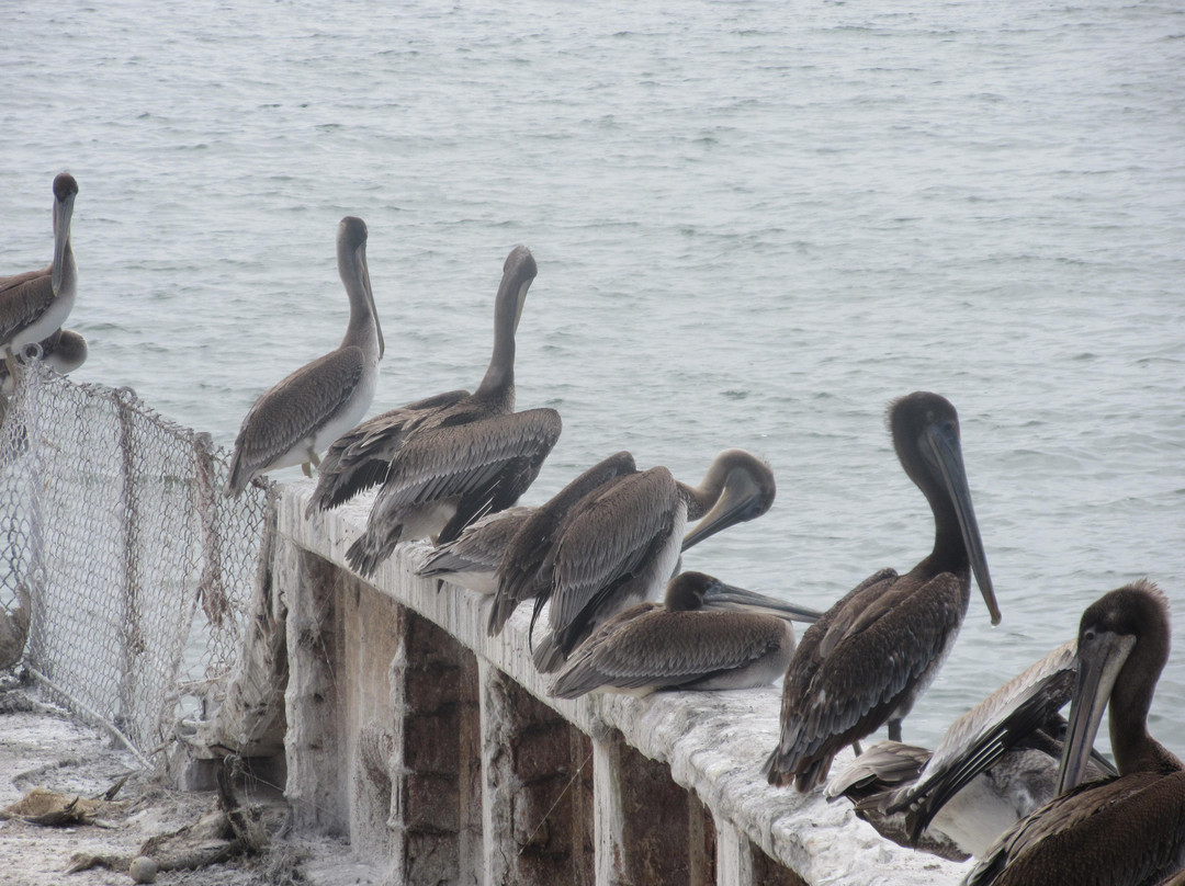 Seacliff State Beach, California-阿普托斯必去景点