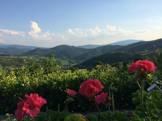 Villa Poggio Corella主图