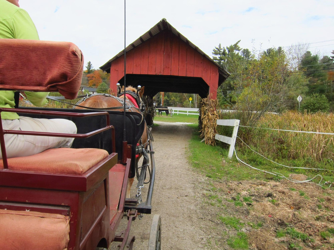 Gentle Giants Sleigh and Carriage Rides-斯托必去景点