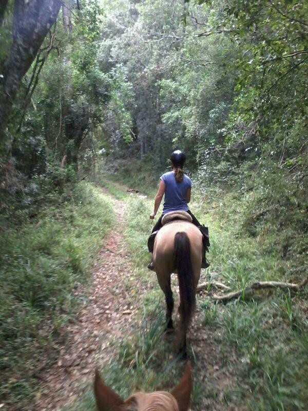 Black Horse Trails-荒野必去景点