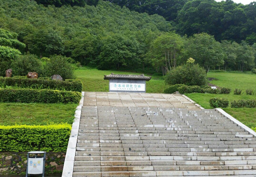 仙湖化石森林-深圳市必去景点