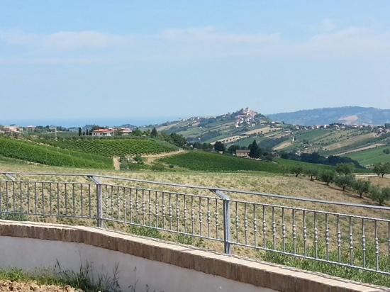 Agriturismo Aqua Viva-酒店景观