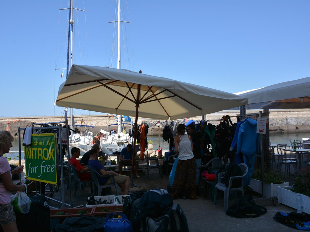 Ventotene Diving Academy景点图片