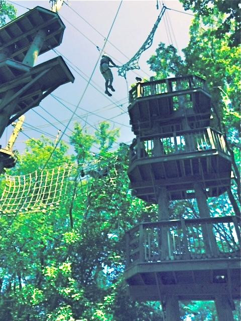 Terrapin Adventures景点图片