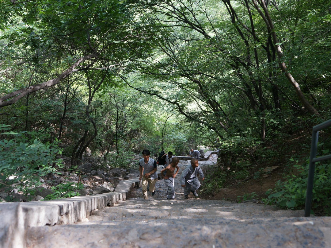 少林寺景点图片