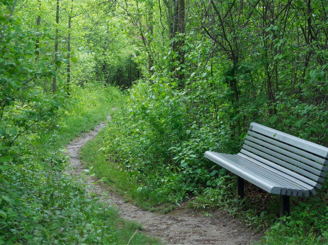 Wehr Nature Center景点图片