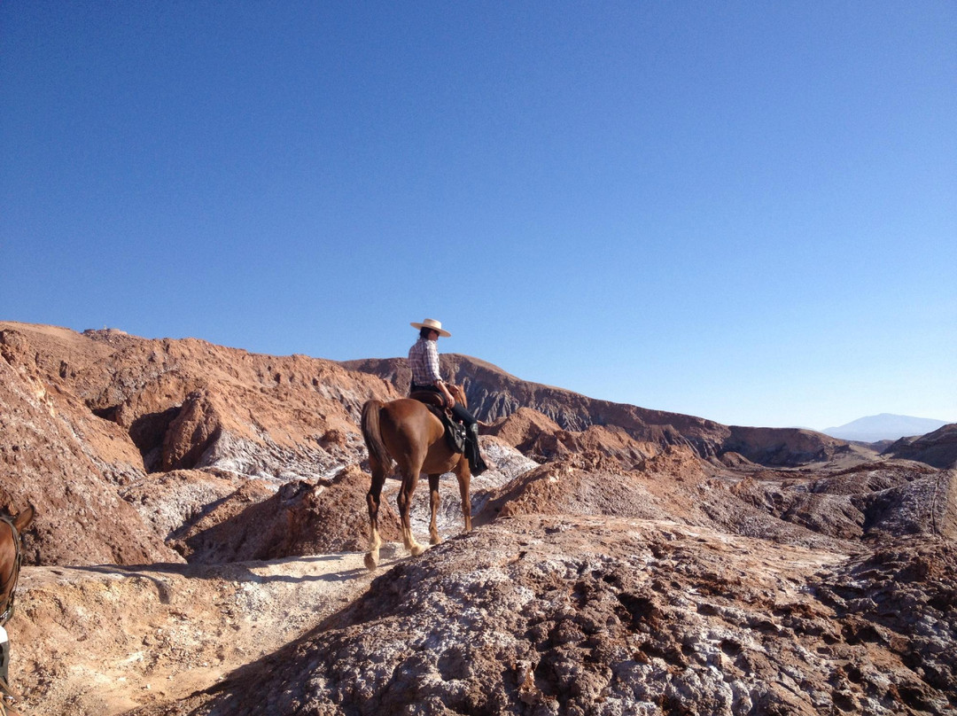 Atacama Loft & Expeditions - Tours景点图片