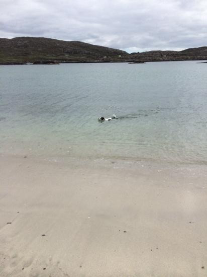 Derrynane Beach-Caherdaniel必去景点