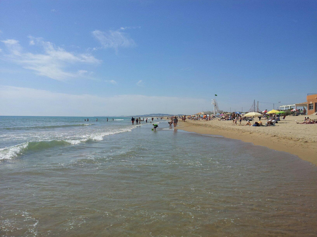 Playa Del Pinet景点图片