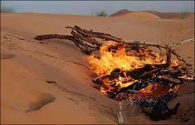 Ali Touareg Tour Guide-吐泽尔必去景点