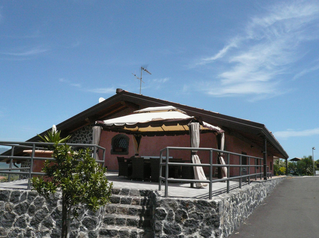Wiegner Azienda Agricola Puccetti Laura景点图片